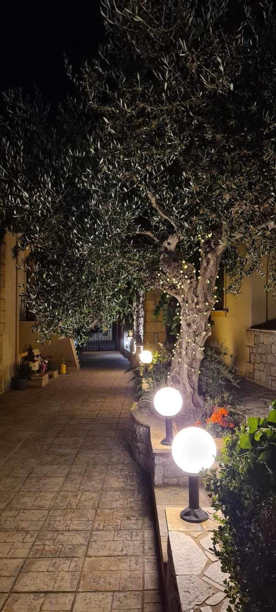 Apartment Finikes